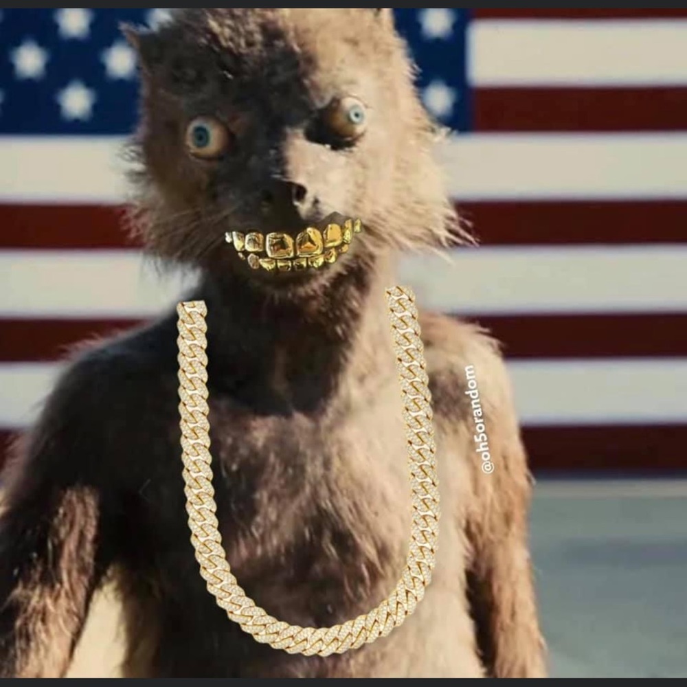 Meet your Posher, Wildy